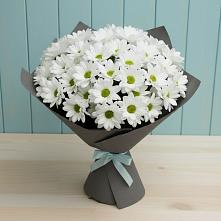 Букет цветов из:  Хризантемы #REPLACE_PRED# Остров